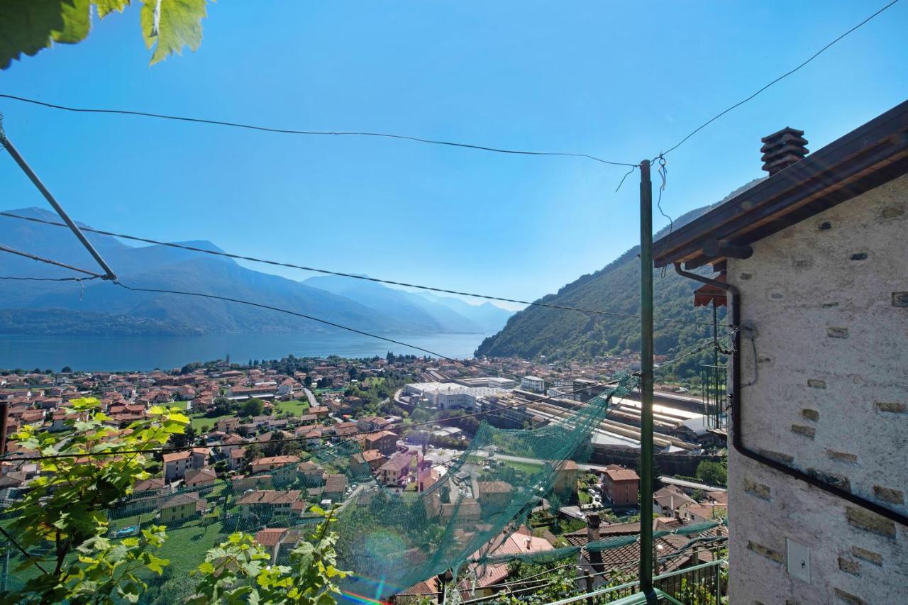 Crotto Palma Apartment Dongo Bagian luar foto